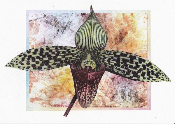 Orchids Toppers 06 - 4 x A4 Pages to Download