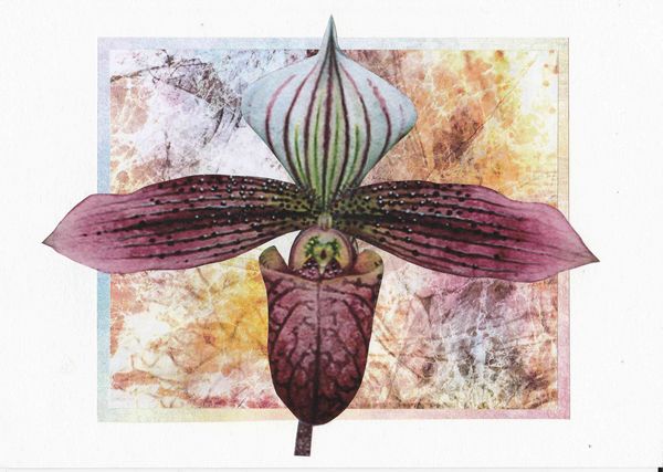 Orchids Toppers 07 - 4 x A4 Pages to Download