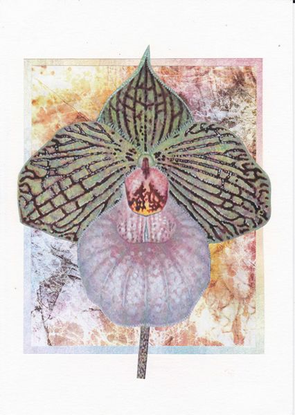 Orchids Set 03 - 12 x A4 Pages to Download