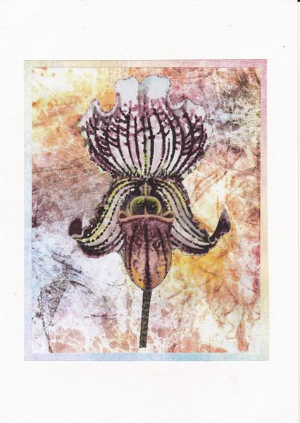 Orchids Set 05 - 12 x A4 Pages to Download