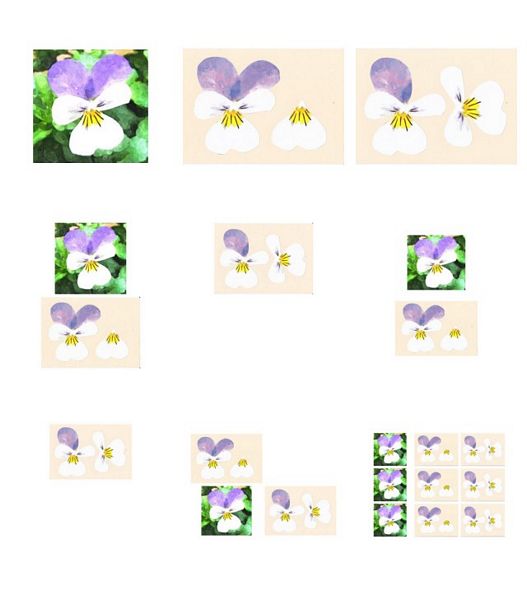 Pansy 3D Project 02 - 9 Pages to Download