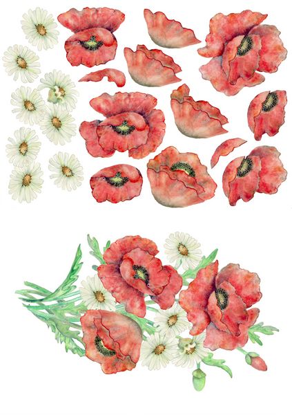 Poppies & Daisies Decoupage Set - 24 x A4 Pages to DOWNLOAD