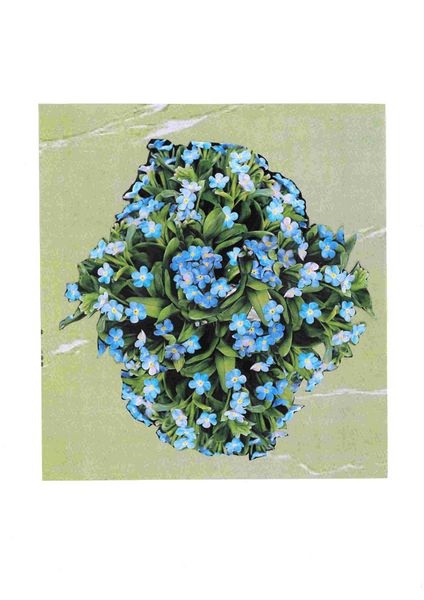 Porcelain Flowers Set 08 - 45 x A4 Pages to DOWNLOAD