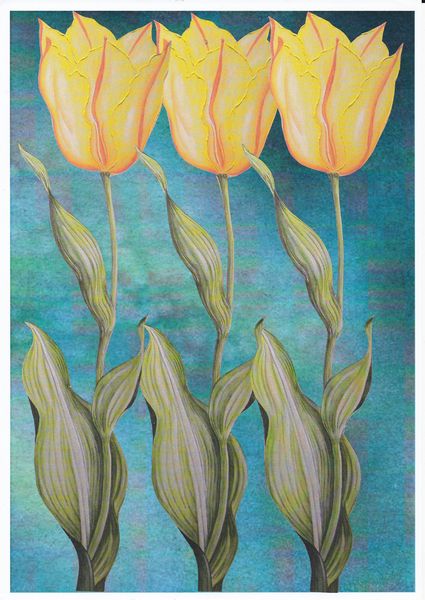 Spring Tulip Set 02 - 80 Pages to Download