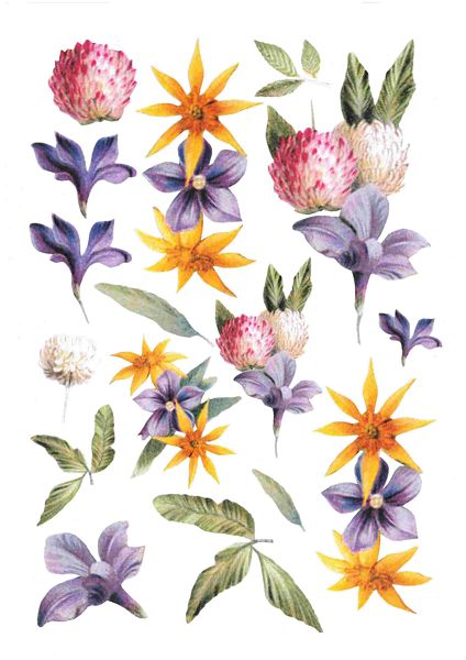Vintage Floral Set 08 - 35 Pages to DOWNLOAD