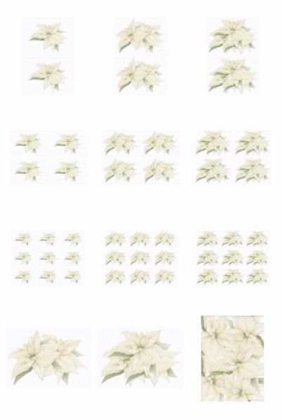 White Poinsettia Toppers - 12 x A4 Pages to DOWNLOAD