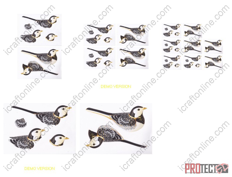 Black and Gold Bird Set - 5 x A4 Pages to Download