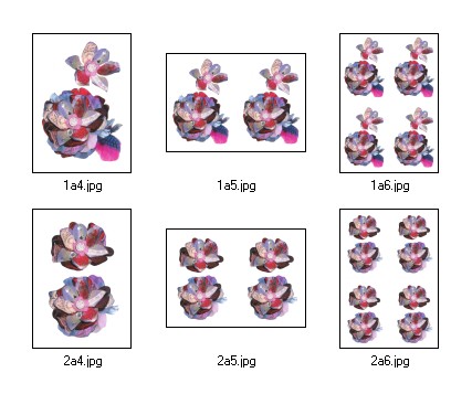 Flouncy Floppy Flowers Decoupage 02 - 6 x A4 Pages to DOWNLOAD