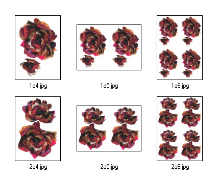 Flouncy Floppy Flowers Decoupage 04 - 6 x A4 Pages to DOWNLOAD