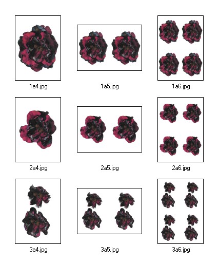 Flouncy Floppy Flowers Decoupage 05 - 9 x A4 Pages to DOWNLOAD