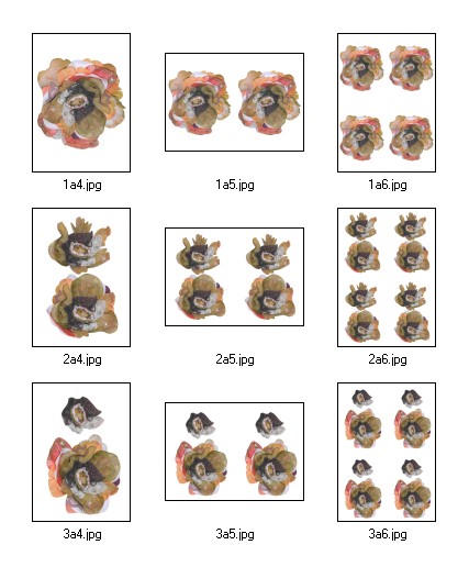 Flouncy Floppy Flowers Decoupage 06 - 9 x A4 Pages to DOWNLOAD
