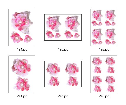 Flouncy Floppy Flowers Decoupage 08 - 6 x A4 Pages to DOWNLOAD