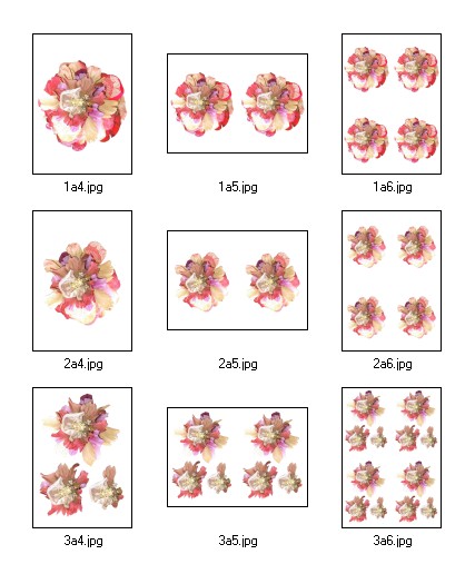 Flouncy Floppy Flowers Decoupage 09 - 9 x A4 Pages to DOWNLOAD