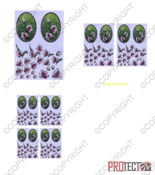 Oval Floral Fancy's 1 - 3 x A4 Pages to Download