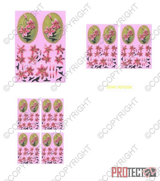 Oval Floral Fancy's 2 - 3 x A4 Pages to Download