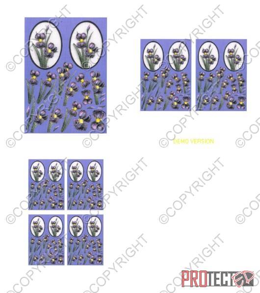 Oval Floral Fancy's 3 - 3 x A4 Pages to Download