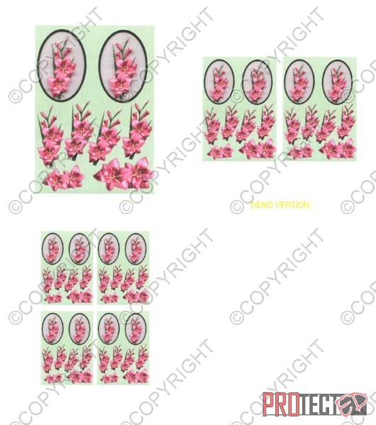 Oval Floral Fancy's 5 - 3 x A4 Pages to Download