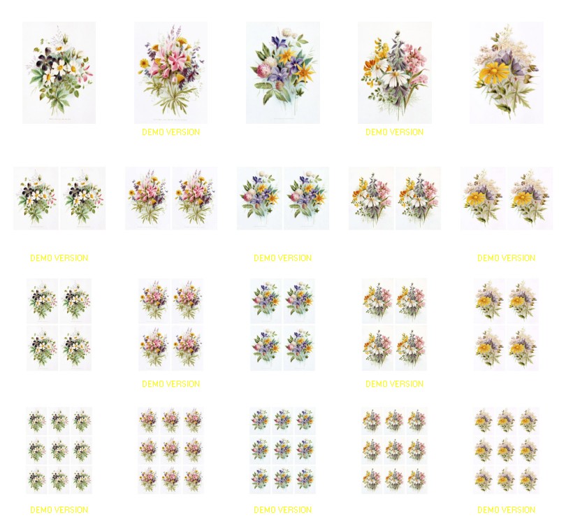 Petite Fleur ALL 5 SETS - 20 x A4 Pages to Download