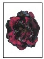 Flouncy Floppy Flowers Decoupage 05 - 9 x A4 Pages to DOWNLOAD