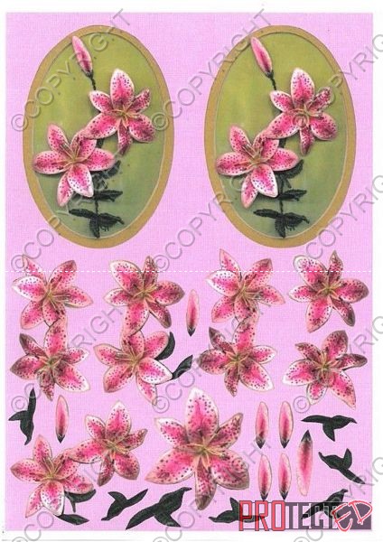 Oval Floral Fancy's 2 - 3 x A4 Pages to Download