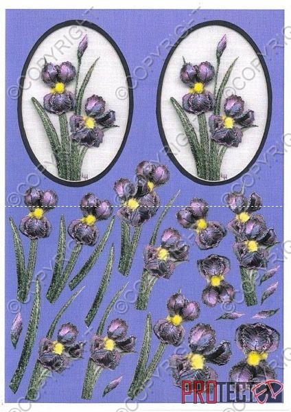 Oval Floral Fancy's 3 - 3 x A4 Pages to Download