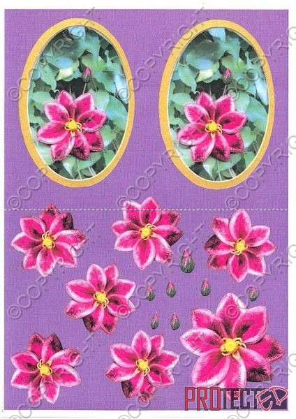 Oval Floral Fancy's 4 - 3 x A4 Pages to Download