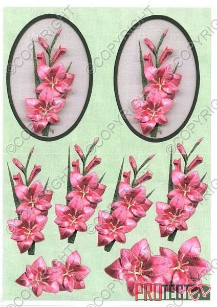 Oval Floral Fancy's 5 - 3 x A4 Pages to Download