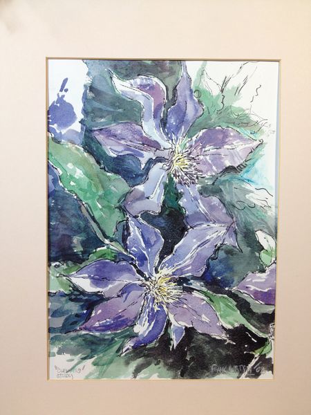 Frank Watson - Clematis Study A3 Hand Finished Print
