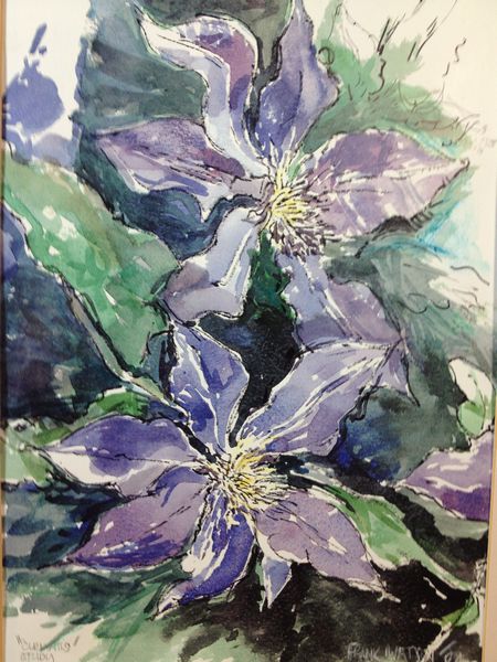 Frank Watson - Clematis Study A3 Hand Finished Print